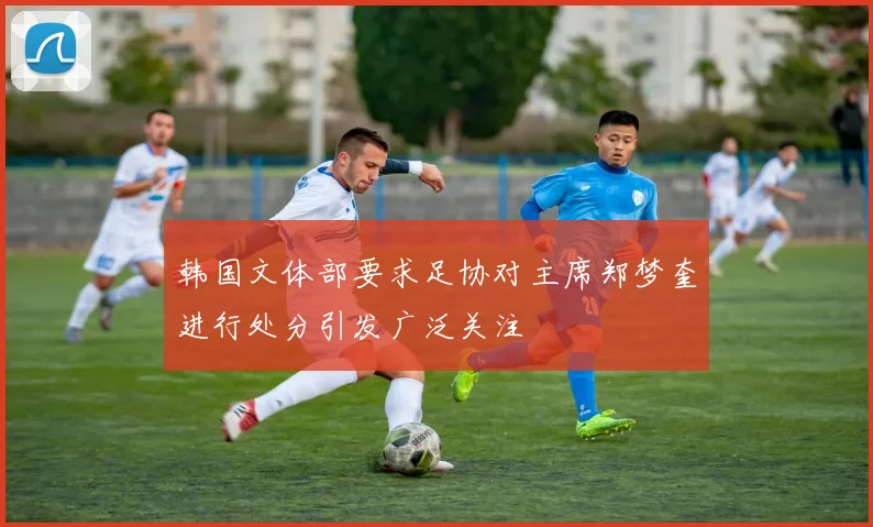韩国文体部要求足协对主席郑梦奎进行处分引发广泛关注